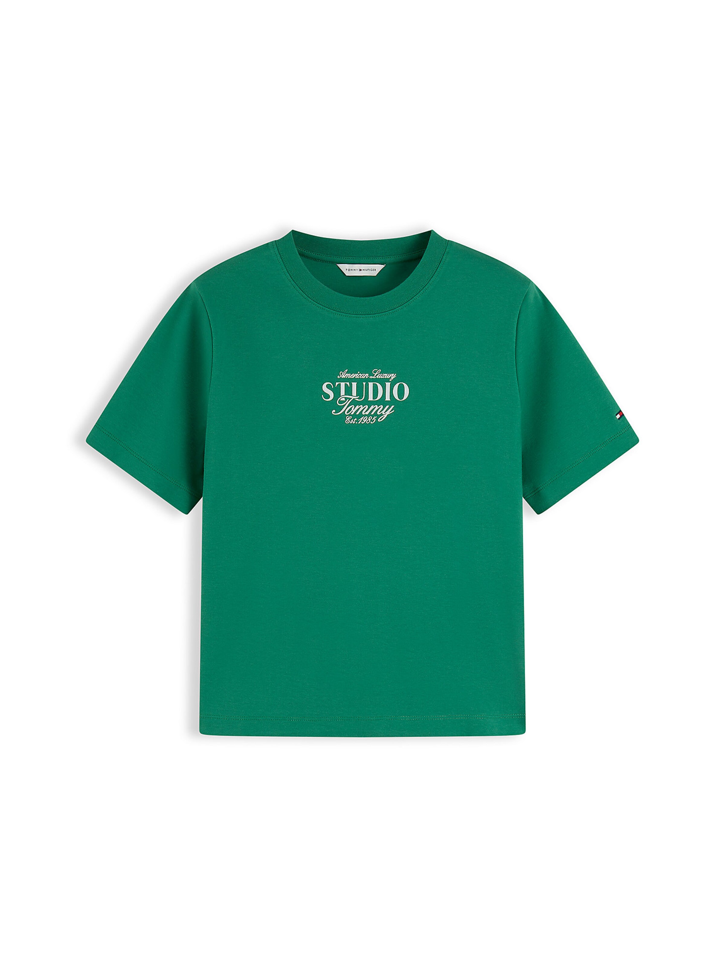 TOMMY HILFIGER T-Shirt in Grün: Vorderseite
