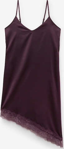 Tezenis Dress in Purple: front