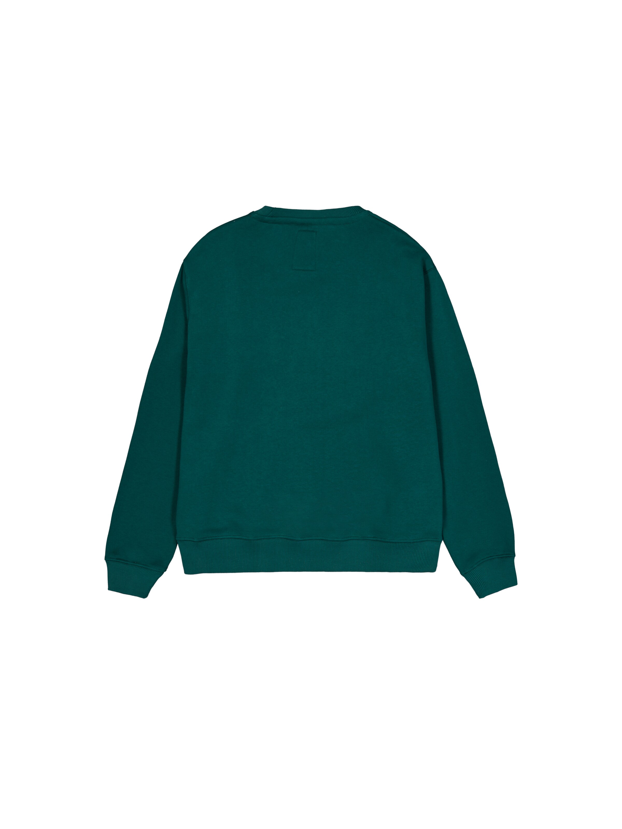 ALPHA INDUSTRIES Sweatshirt in Grün
