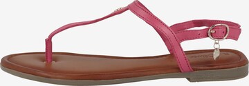 s.Oliver T-Bar Sandals in Pink