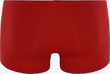 Olaf Benz Retro Pants ' Minipants RED 2059 ' in Rot