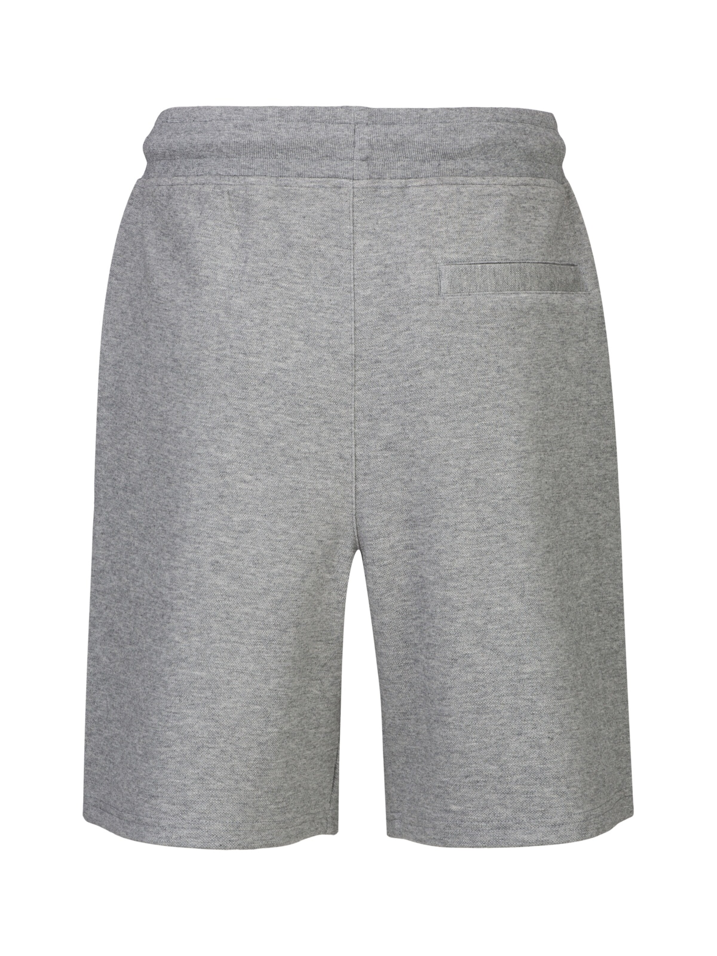 19V69 ITALIA Regular Broek 'Sergio' in Grijs