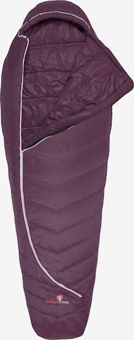 Grüezi Bag Sleeping Bag 'Synpod Island 175' in Purple