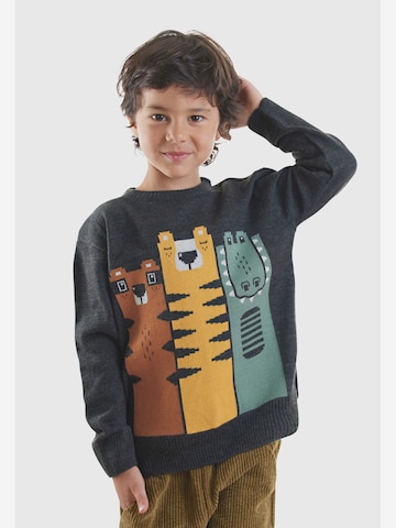 Denokids Trui ' CFF-25S1-055 ' in Grijs: voorkant
