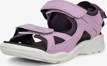 ECCO Sandale 'Biom Raft' in Lila: Vorderseite