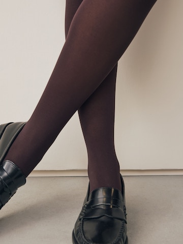 Next - Leotardos finos en marrón