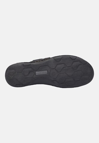 JOSEF SEIBEL Lace-up shoe in Grey