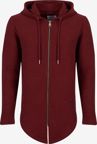 Leif Nelson Zip-Up Hoodie in Red: front