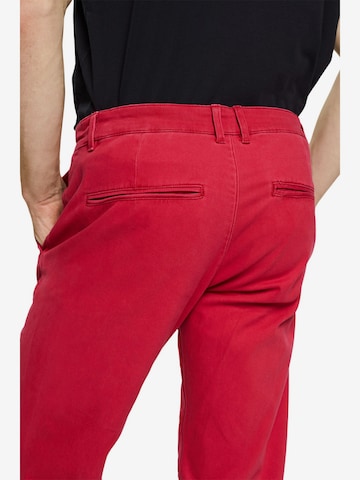 ESPRIT Regular Chino in Rood