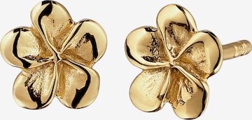 Boucles d'oreilles ELLI en or : devant