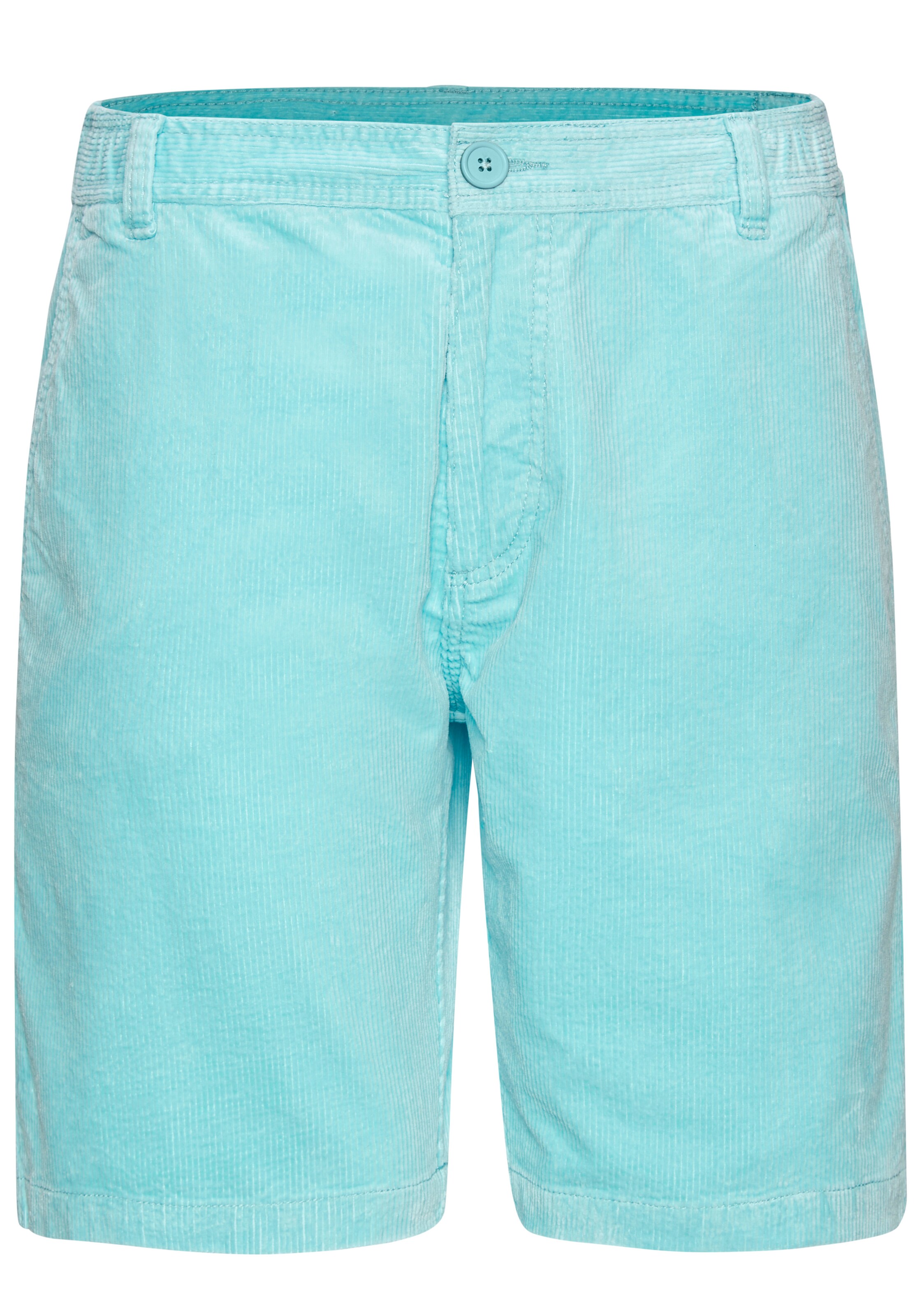 H.I.S Hose in Blau: Vorderseite