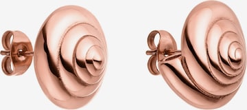 PURELEI Ohrringe 'Nautical Small' in Pink: Vorderseite