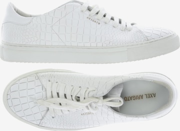Axel Arigato Sneaker 42 in Weiß: Vorderseite