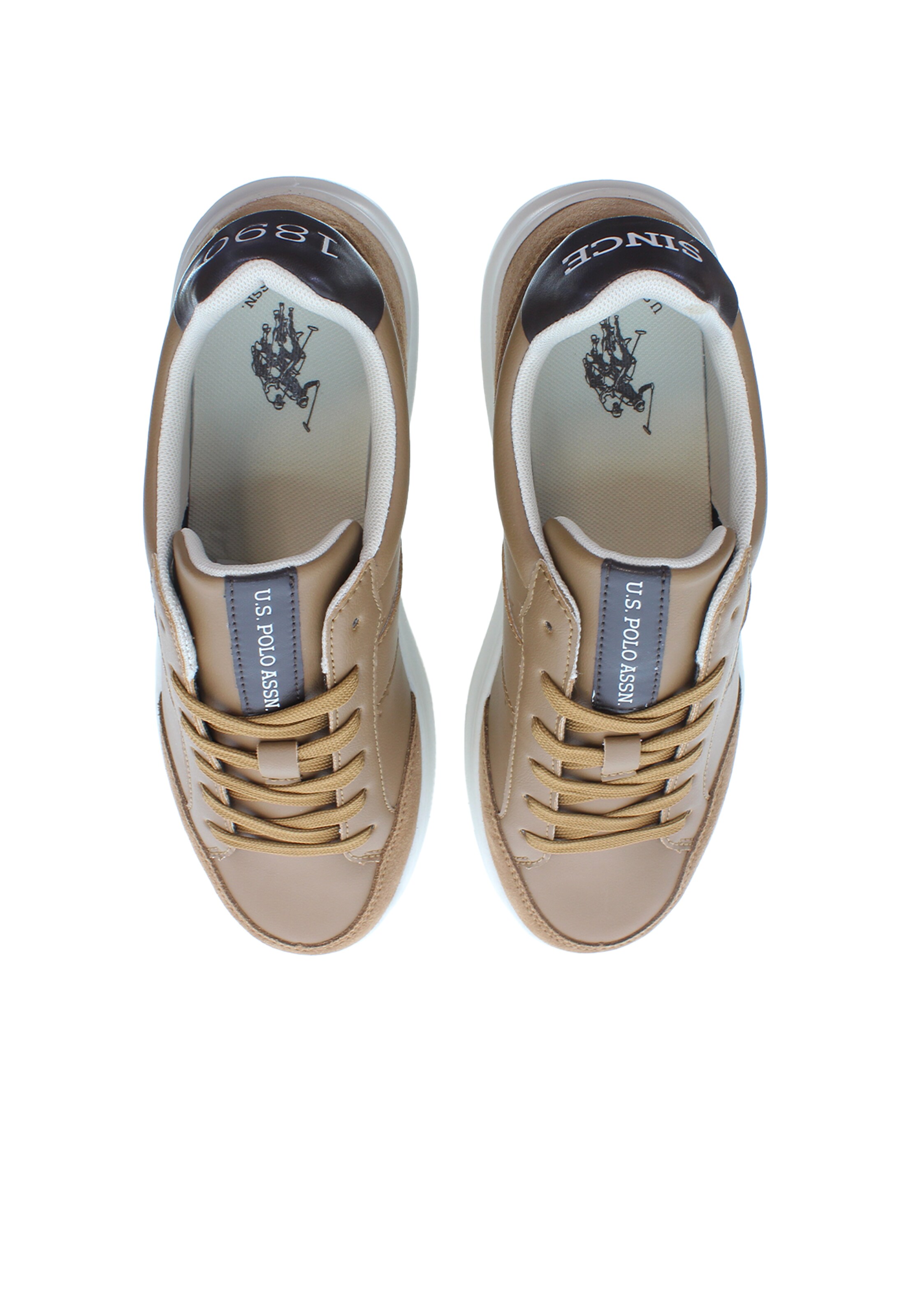 Sneaker bassa 'Cody003' di U.S. POLO ASSN. in marrone