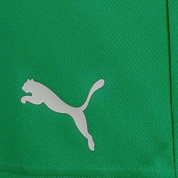 PUMA Regular Sportbroek 'TeamRise' in Groen