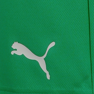 regular Pantaloni sportivi 'TeamRise' di PUMA in verde
