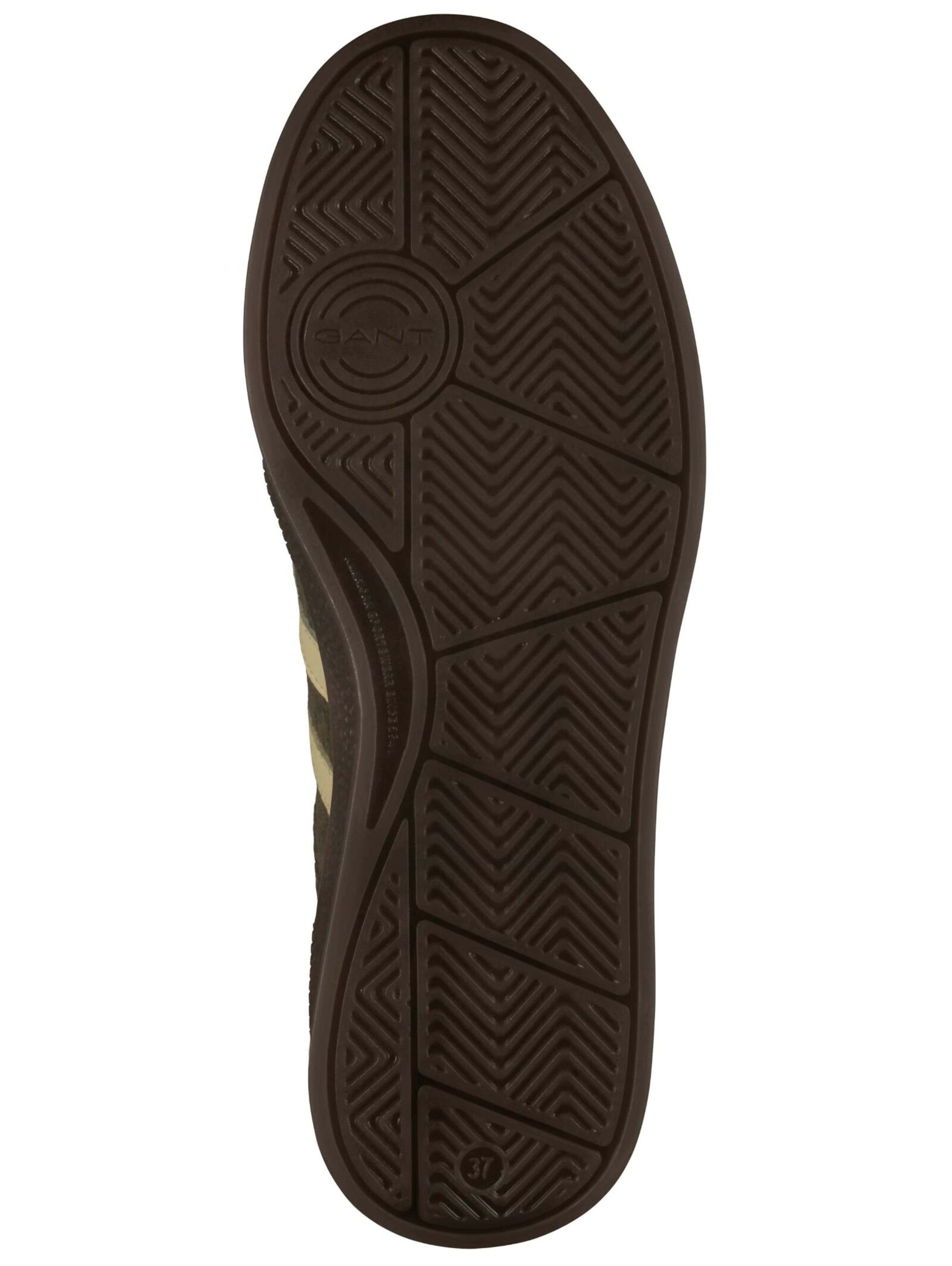 Baskets basses GANT en marron