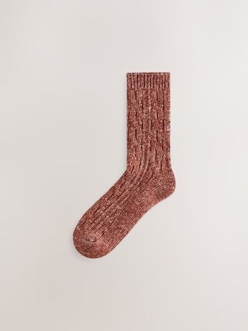 Next Socks in Beige