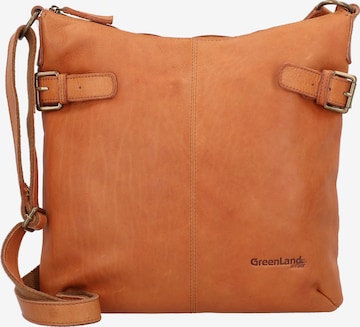 Borsa a tracolla di Greenland Nature in marrone: frontale