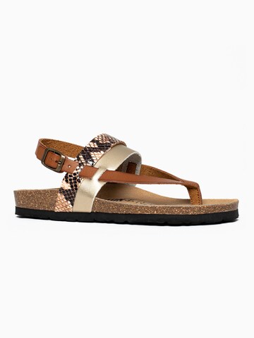 Bayton Sandaler 'Lajas' i brun