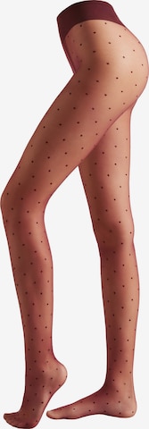 CALZEDONIA Strumpfhose in Rot: Vorderseite