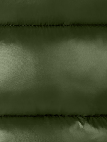 Gilet ' Iria ' SAVE THE DUCK en vert