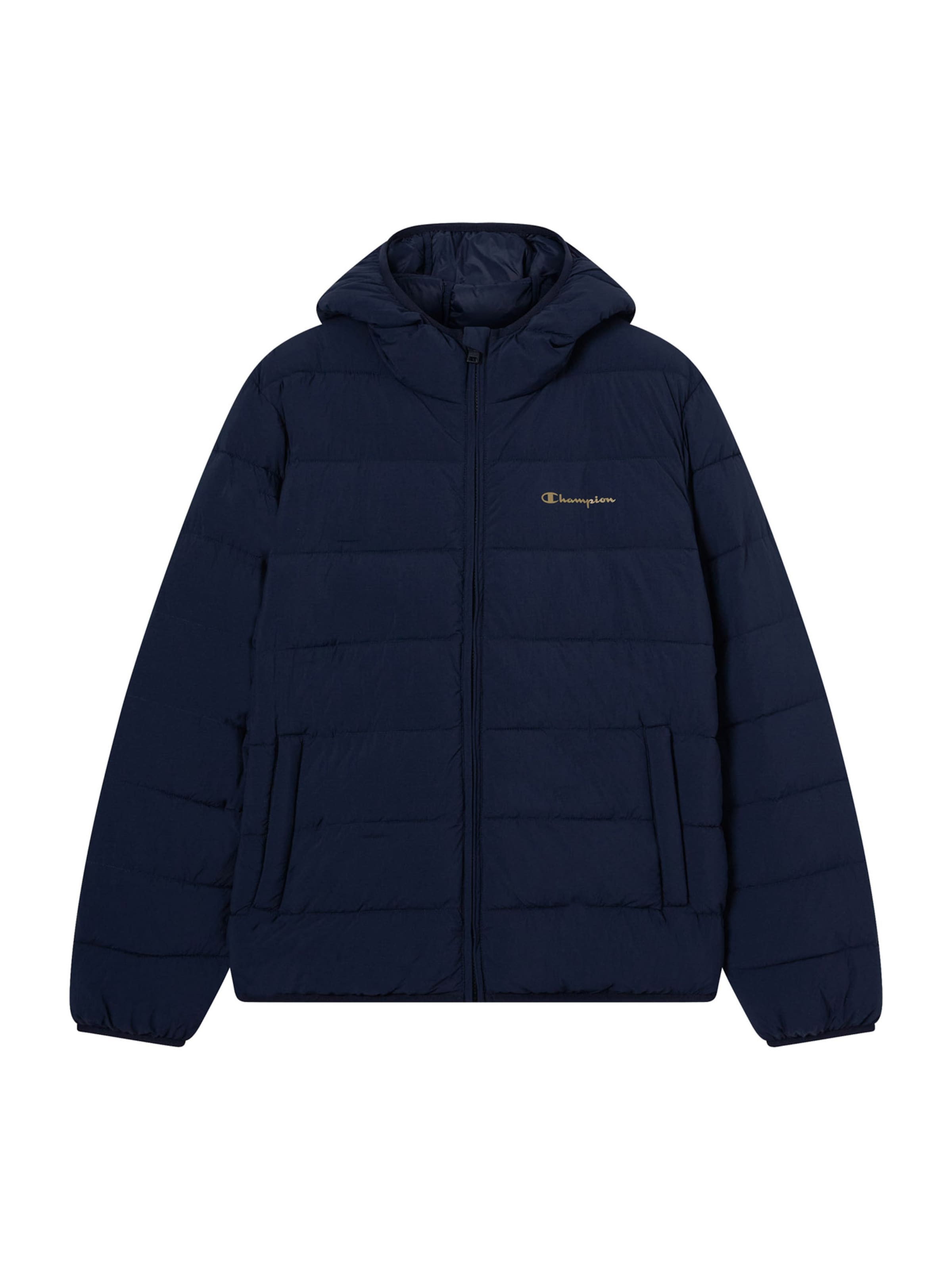 Giacca invernale di Champion Authentic Athletic Apparel in blu: frontale