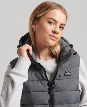 Superdry Bodywarmer in Bruin