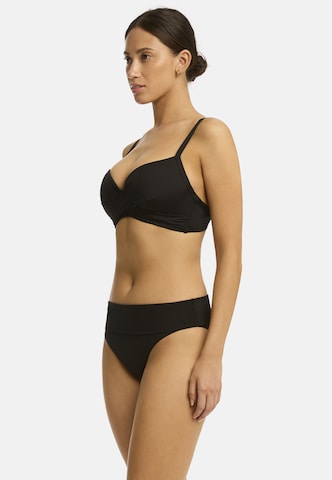 SEA LEVEL Push-up Bikinitop 'Essentials' in Schwarz