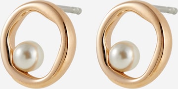 SKAGEN Earrings 'Agnethe' in Gold: front