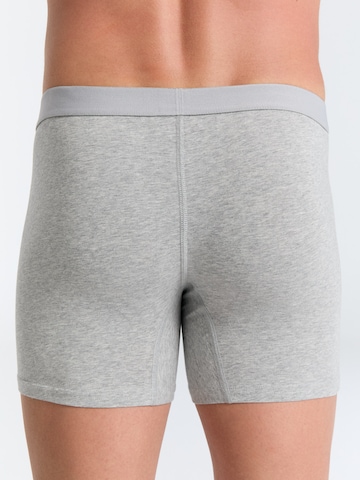 Albero Natur Boxershorts in Grau