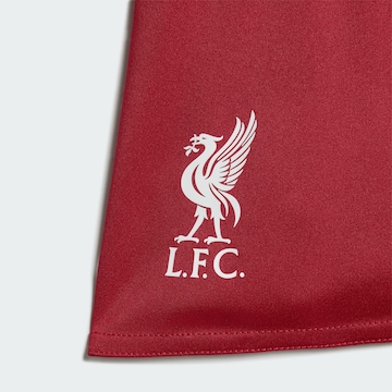 ADIDAS PERFORMANCE - Fato de treino 'FC Liverpool 26/27' em vermelho