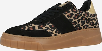 STEVE MADDEN Sneakers laag 'Callie' in Bruin: voorkant