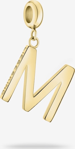 Liebeskind Berlin Pendant in Gold: front