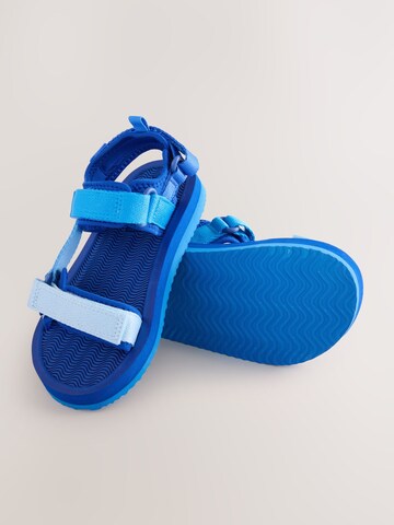 Next Open schoenen in Blauw