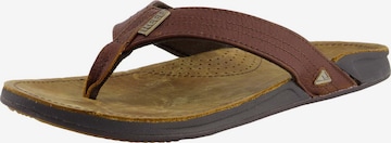 REEF Beach & Pool Shoes ' J-Bay III ' in Brown: front