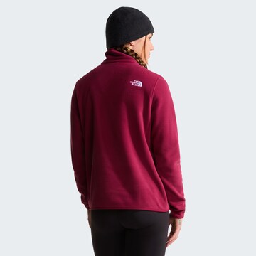 THE NORTH FACE Sportpullover 'Glacier' in Rot
