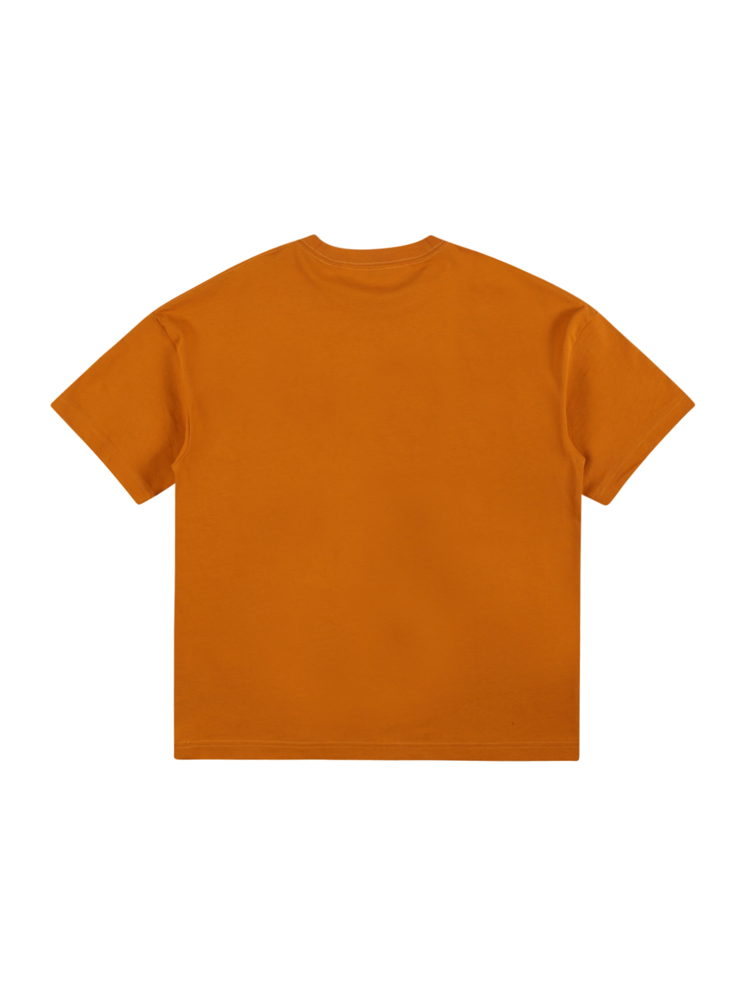 Garçon T-Shirt GANT en Orange Foncé 