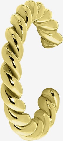 Lucardi Earrings in Gold: front