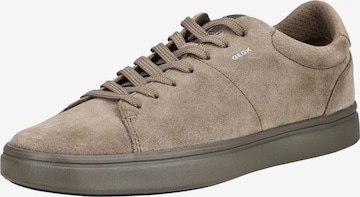 Baskets basses 'Baltmoore' GEOX en gris : devant