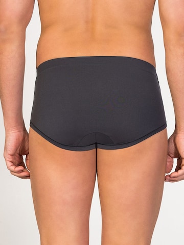 zd ZERO DEFECTS Panty 'Sepang MicroModal® Fly Front Brief' in Grey