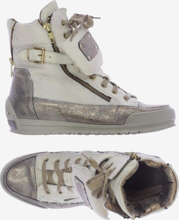 Candice Cooper Sneaker 39 in Beige: predná strana