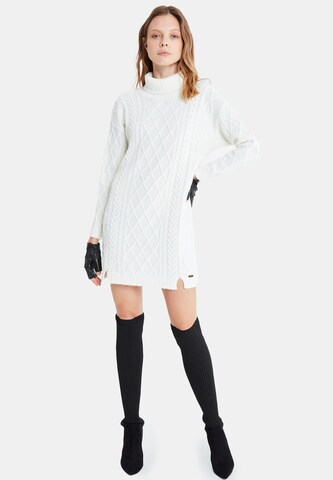 Jimmy Sanders Knit dress 'Fiora' in Beige