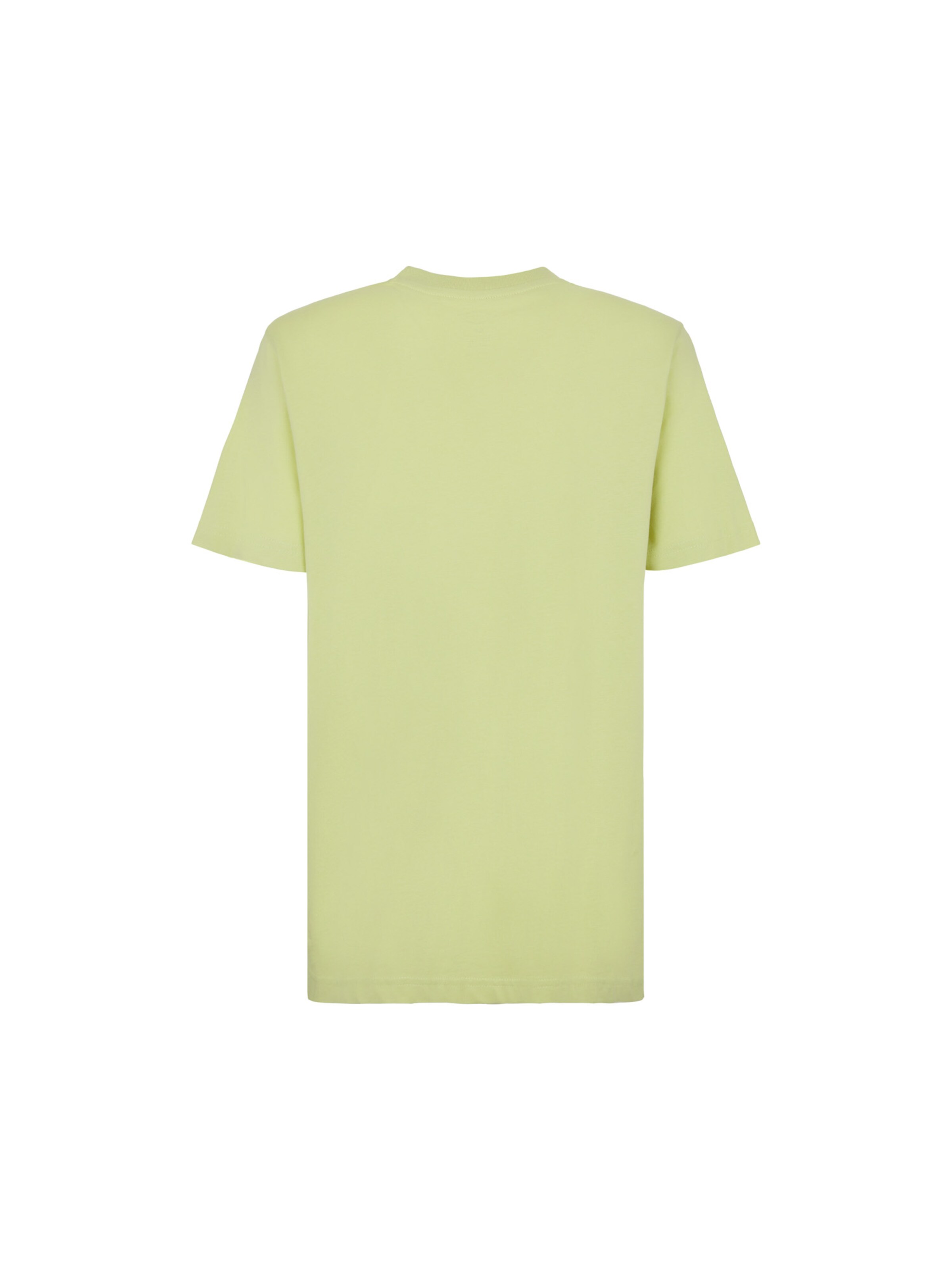 DICKIES Футболка в Зеленый