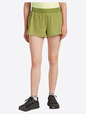 ICEBREAKER Regular Trousers 'W Mer 125 ZoneKnit Speed 3 Shorts' in Green