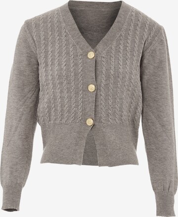 NAEMI Knit Cardigan in Grey: front