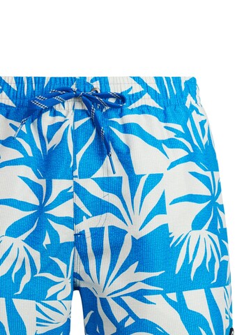 PROTEST Swimming shorts 'PRTPanther' in Blue