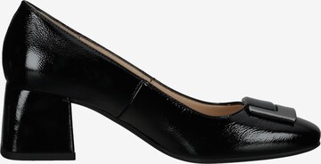 Nero Giardini Pumps in Schwarz