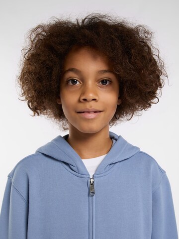 DICKIES Sweatshirt 'TERRY' in Lila