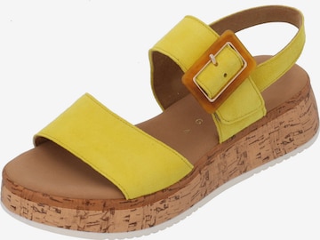 GABOR Sandals in Yellow: front